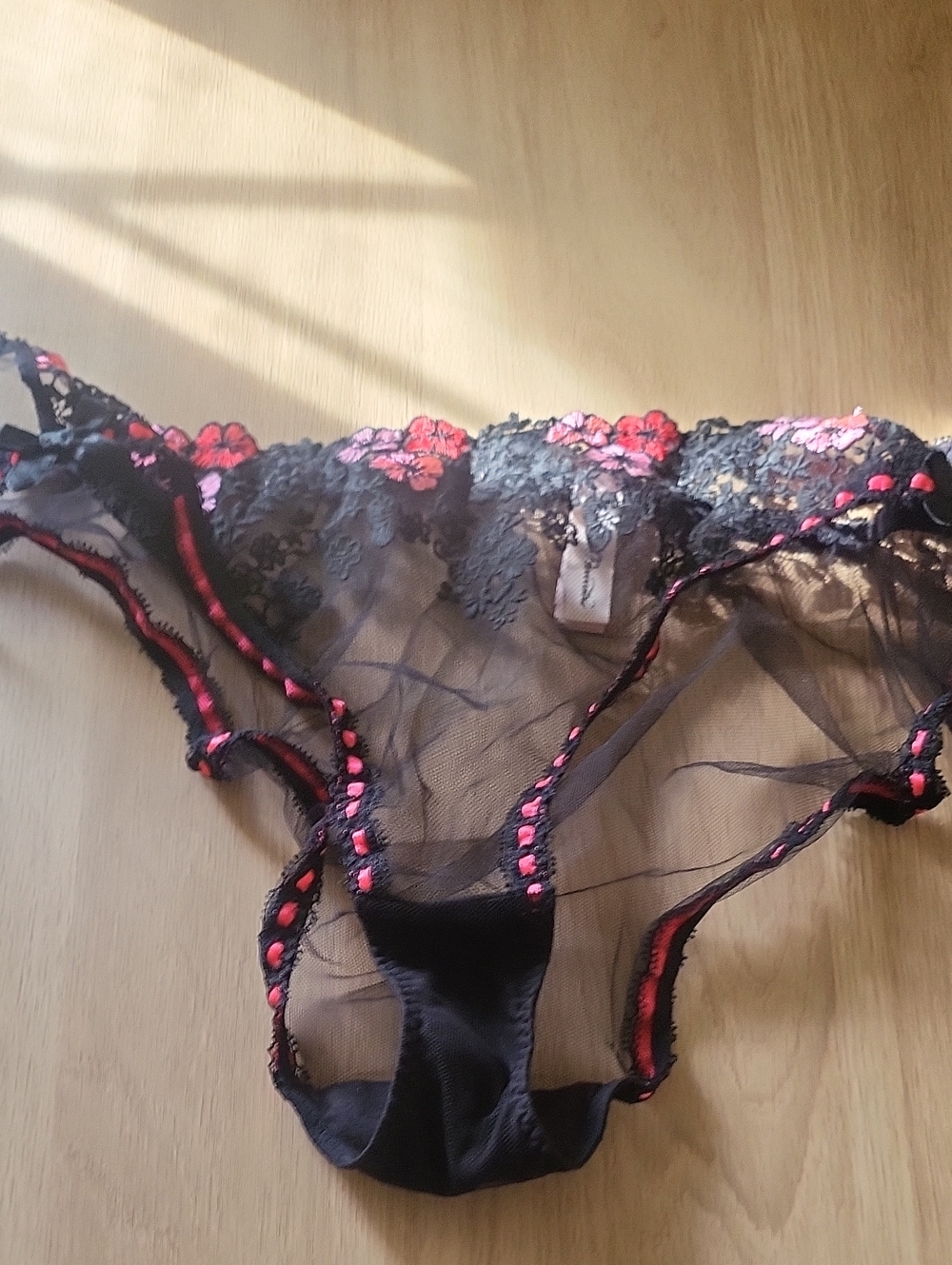 Agent Provocateur Nwot Sheer Black Lace Bikini Panty with Pink Embroidery